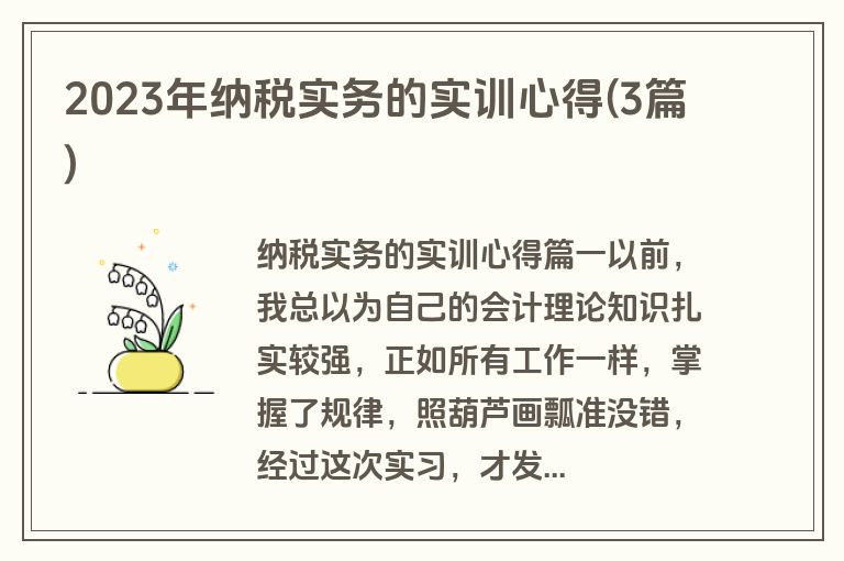 2023年纳税实务的实训心得(3篇)
