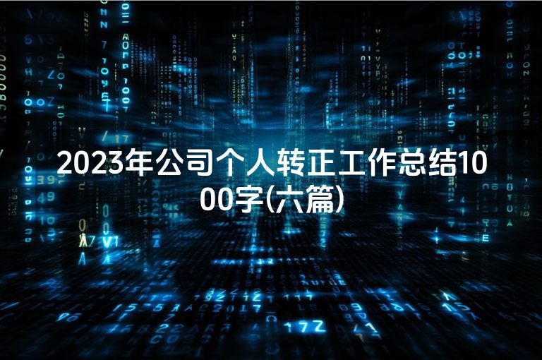 2023年公司个人转正工作总结1000字(六篇)