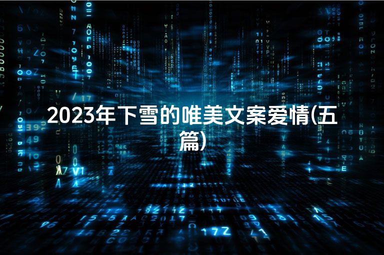 2023年下雪的唯美文案爱情(五篇)