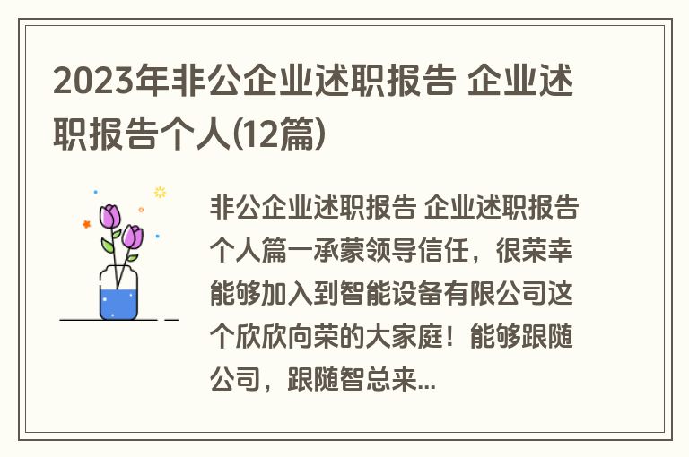 2023年非公企业述职报告 企业述职报告个人(12篇)
