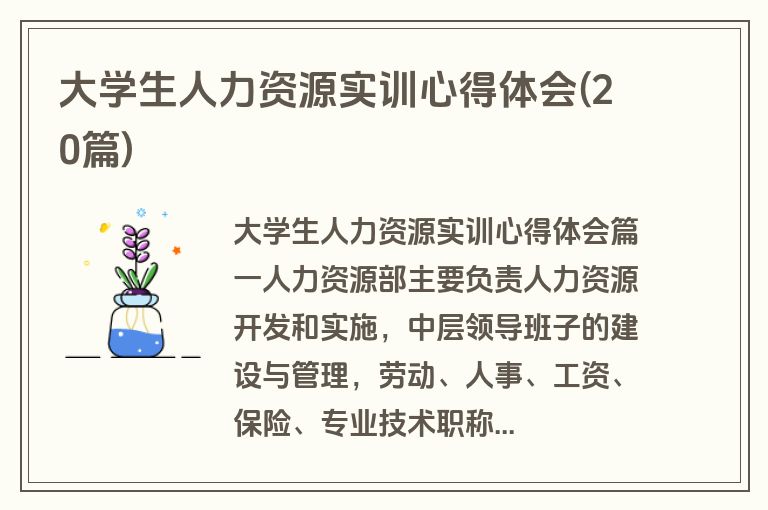 大学生人力资源实训心得体会(20篇)