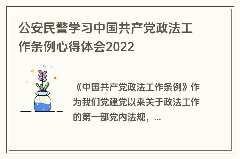 公安民警学习中国共产党政法工作条例心得体会2022