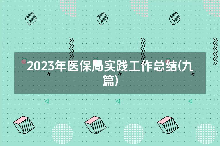 2023年医保局实践工作总结(九篇)