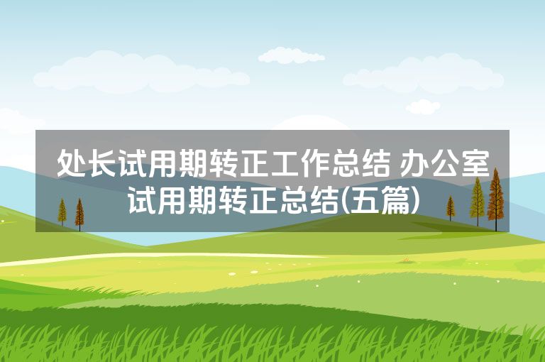 处长试用期转正工作总结 办公室试用期转正总结(五篇) 处长试用期转正工作总结 办公室试用期转正总结(五篇)