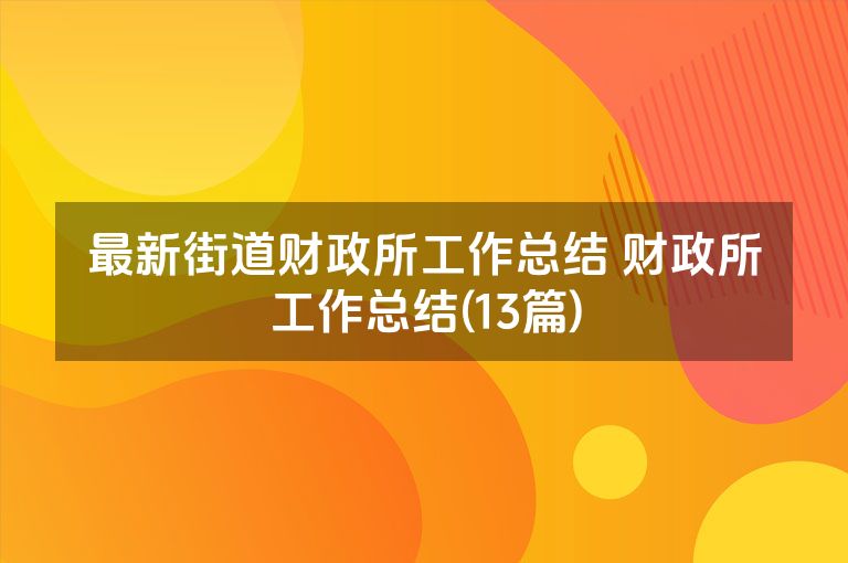 最新街道财政所工作总结 财政所工作总结(13篇)