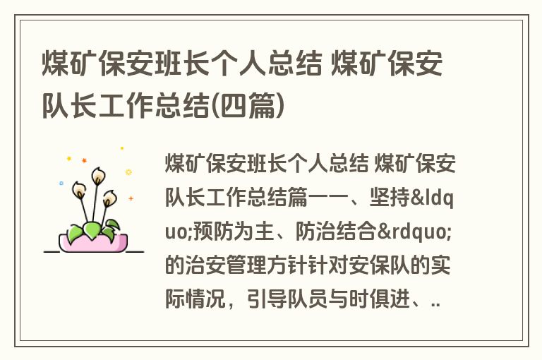 煤矿保安班长个人总结 煤矿保安队长工作总结(四篇)