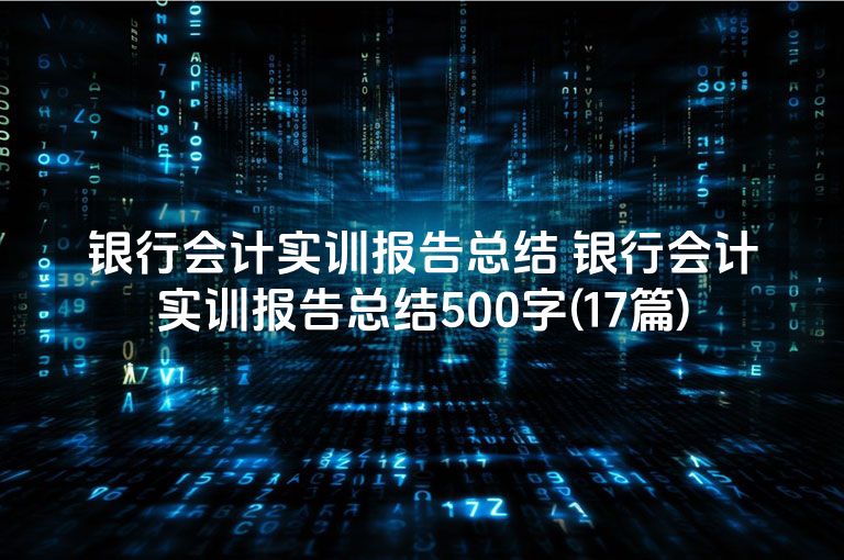 银行会计实训报告总结 银行会计实训报告总结500字(17篇)