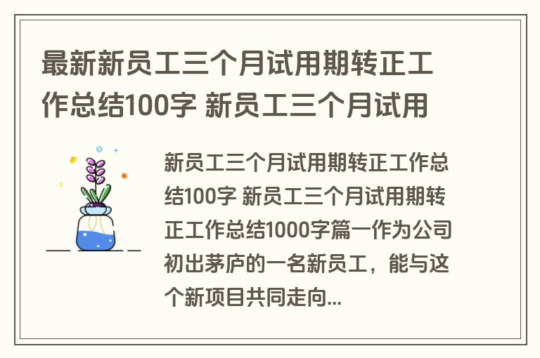 最新新员工三个月试用期转正工作总结100字 新员工三个月试用期转正工作总结1000字(七篇)