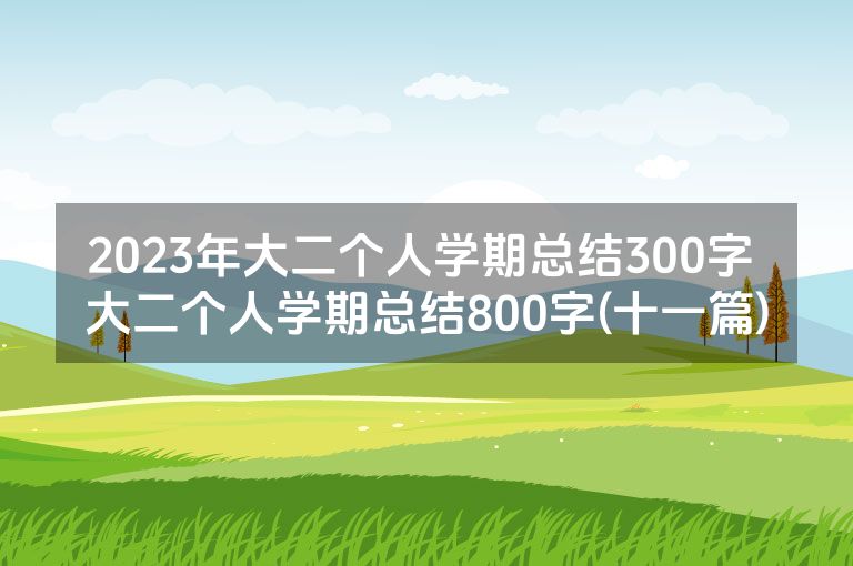 2023年大二个人学期总结300字 大二个人学期总结800字(十一篇)