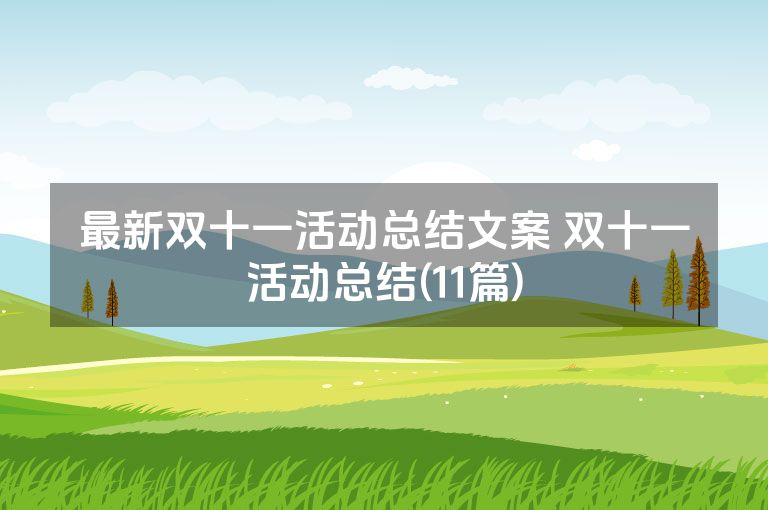 最新双十一活动总结文案 双十一活动总结(11篇)