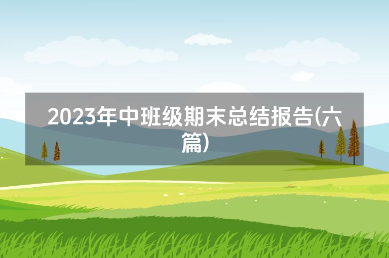 2023年中班级期末总结报告(六篇)