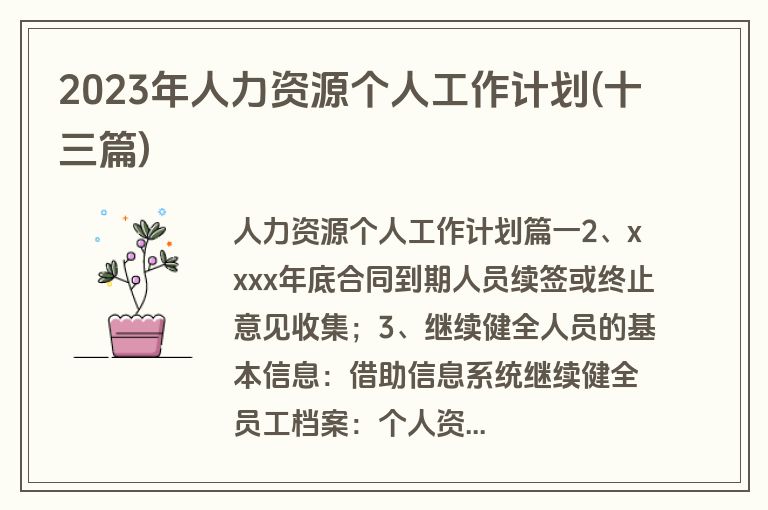 2023年人力资源个人工作计划(十三篇)