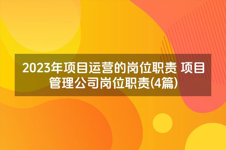 2023年项目运营的岗位职责 项目管理公司岗位职责(4篇)