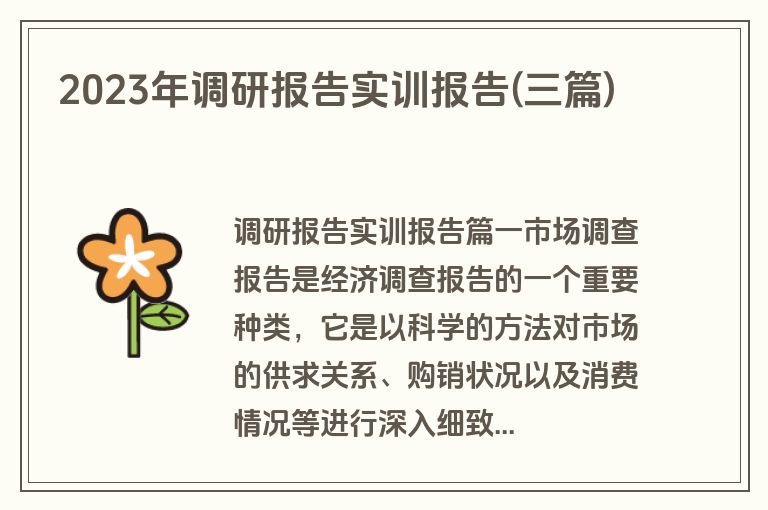 2023年调研报告实训报告(三篇)