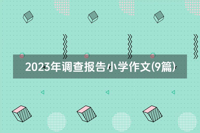 2023年调查报告小学作文(9篇)