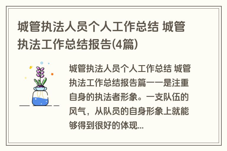 城管执法人员个人工作总结 城管执法工作总结报告(4篇)