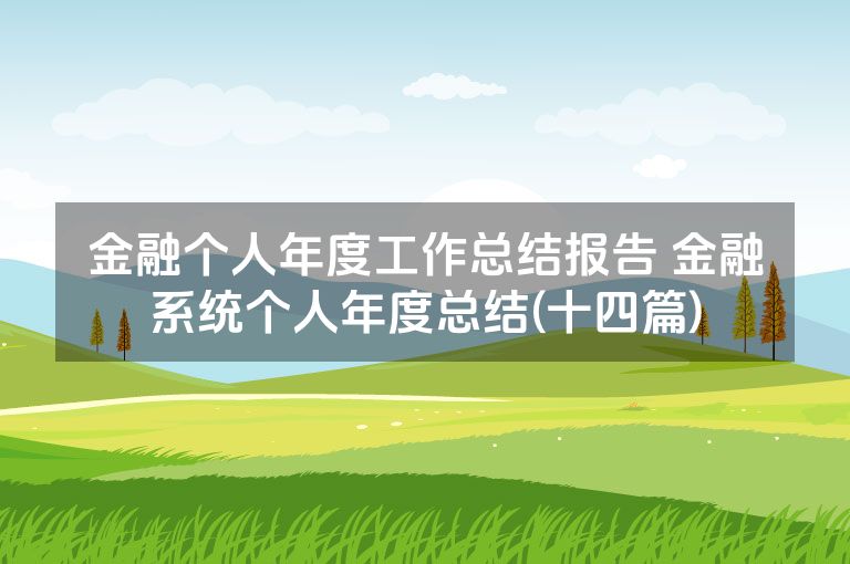 金融个人年度工作总结报告 金融系统个人年度总结(十四篇)