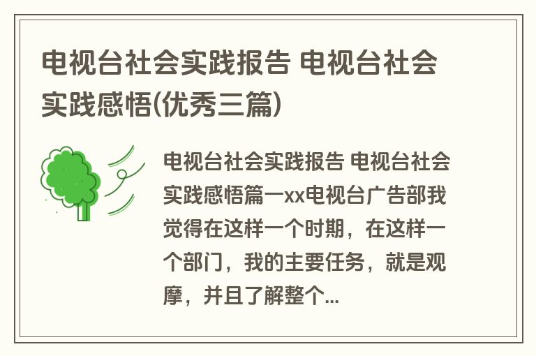 电视台社会实践报告 电视台社会实践感悟(优秀三篇)
