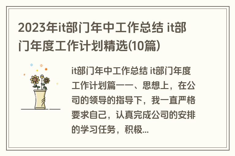 2023年it部门年中工作总结 it部门年度工作计划精选(10篇)