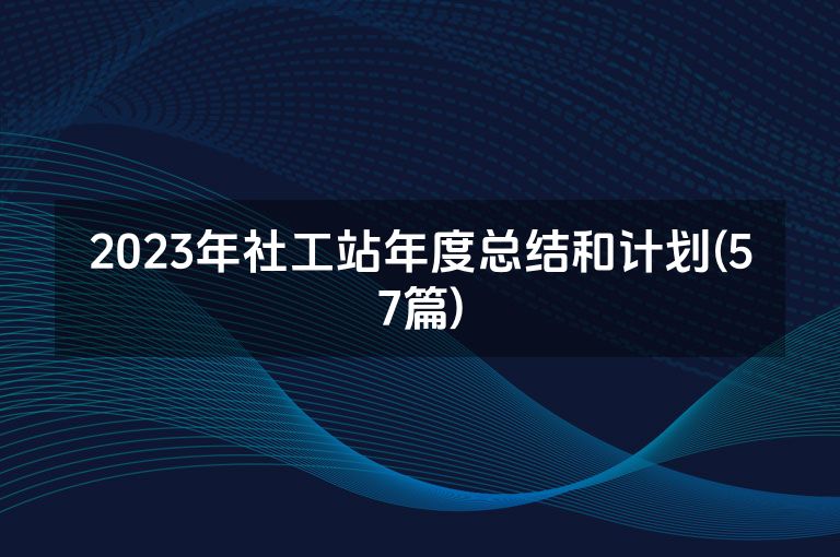 2023年社工站年度总结和计划(57篇)