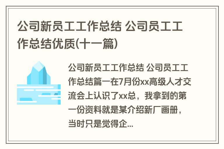 公司新员工工作总结 公司员工工作总结优质(十一篇)