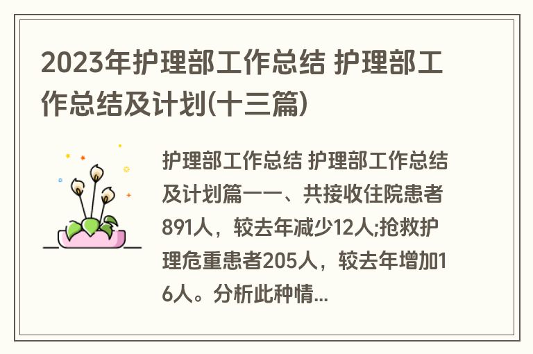 2023年护理部工作总结 护理部工作总结及计划(十三篇)