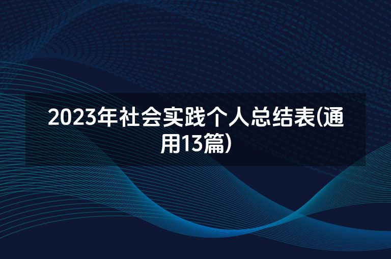 2023年社会实践个人总结表(通用13篇)