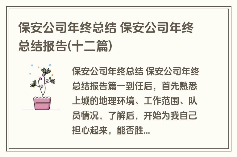 保安公司年终总结 保安公司年终总结报告(十二篇)