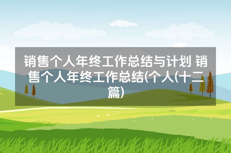 销售个人年终工作总结与计划 销售个人年终工作总结(个人(十二篇)