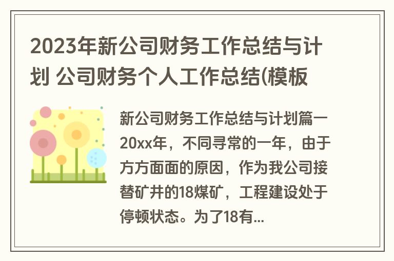 2023年新公司财务工作总结与计划 公司财务个人工作总结(模板13篇)