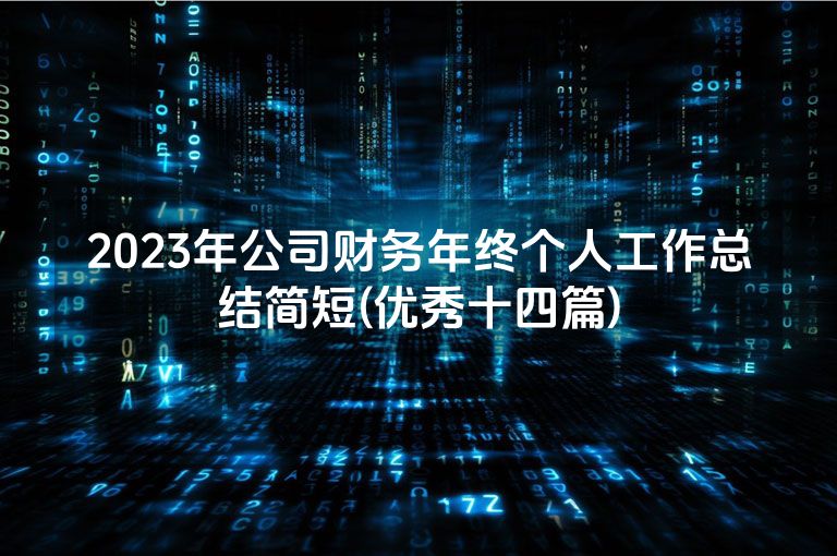 2023年公司财务年终个人工作总结简短(优秀十四篇)
