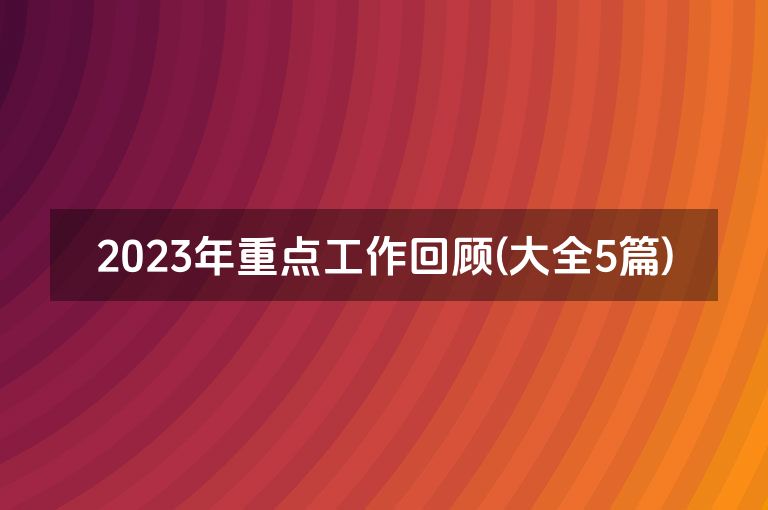 2023年重点工作回顾(大全5篇)
