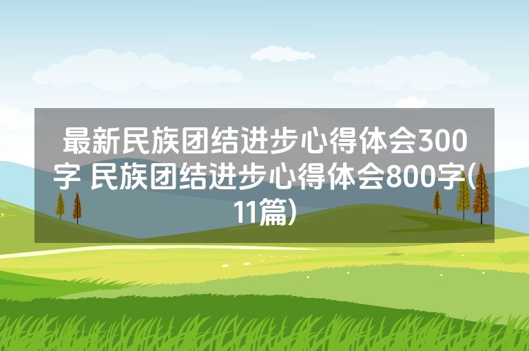 最新民族团结进步心得体会300字 民族团结进步心得体会800字(11篇)